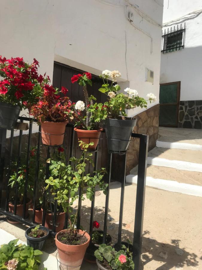 Casa Amigos Sorvilan- La Palmera Exterior photo